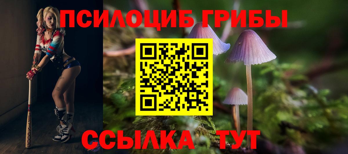 Псилоцибиновые грибы прущие грибы  Псилоцибиновые грибы Psilocybe  Химки  как найти наркотики  Вход с VPN 