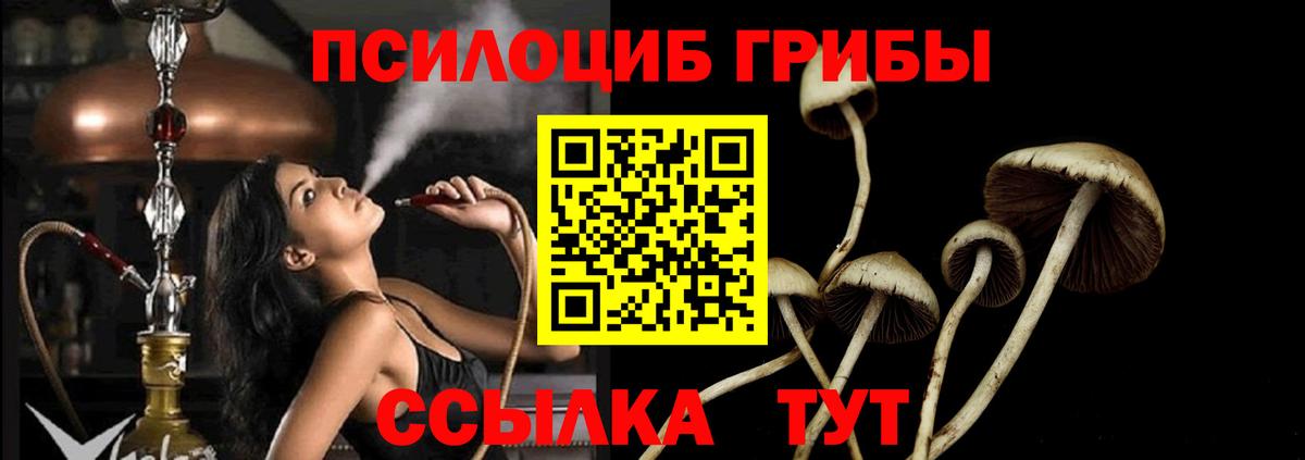 Галлюциногенные грибы Psilocybe Химки
